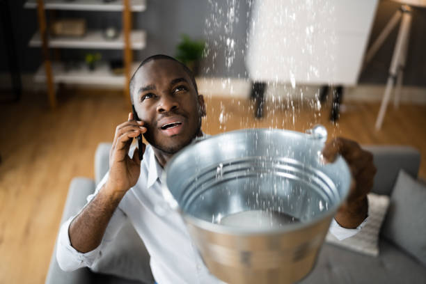 Best Flood damage cleanup  in Eureka, MO