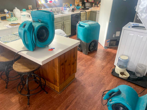 Best Water damage restoration specialists  in Eureka, MO